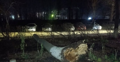 В Оренбурге девушка, лишившаяся ноги после падения на нее дерева, требует от УК 12 млн рублей