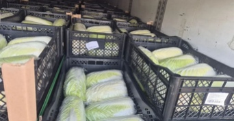 Импортную капусту развернули на оренбургской границе