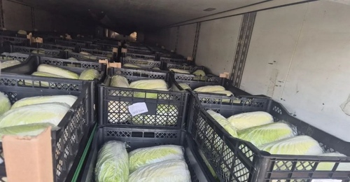 Импортную капусту развернули на оренбургской границе