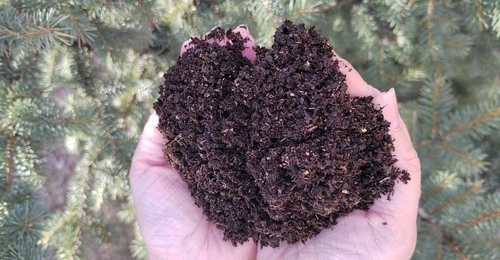 Вниманию садоводов и дачников Оренбургской области!