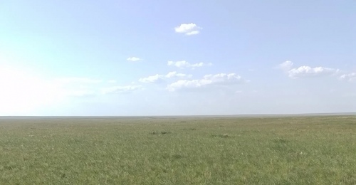 В Оренбуржье через суд изъяли более 16 000 гектаров заброшенных сельхозземель