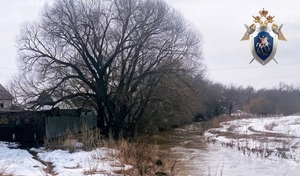 В Оренбуржье прокуратура и следователи проводят проверку по факту происшествия в селе Октябрьское 