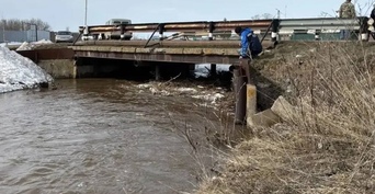Трагедия на воде: в ручье Елшанка спасатели ищут тело маленького мальчика 