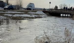 В Октябрьском районе водолазы второй день ищут тело 7-летнего мальчика, утонувшего в ручье (18+)