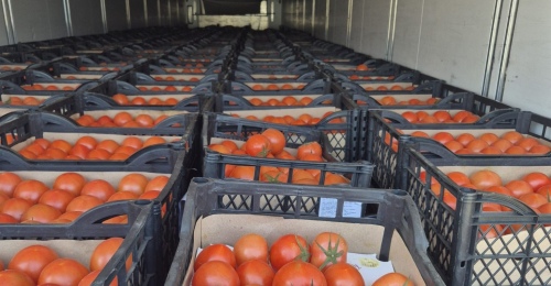 В Оренбуржье прибыли помидоры с неприятным «сюрпризом»
