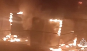 В Оренбурге объявили награду в 500 тысяч рублей за информацию о поджигателе 16 ГАЗелей