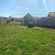 В Беляевском районе двое мужчин избили и похитили 19-летнего юношу