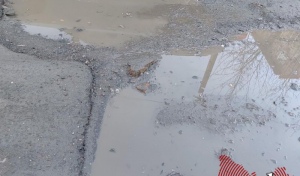 Сколько денег казна Оренбурга готова закатать в асфальт