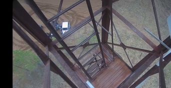 В Бузулукском бору «цифровые глаза» помогли поймать оренбуржцев на квадроциклах