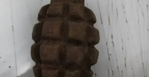 Оренбурженка нашла на своем дачном участке гранату