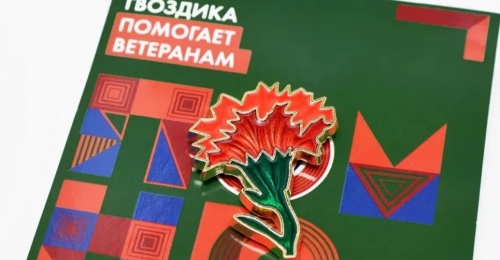 В Оренбуржье проходит акция помощи ветеранам «Красная гвоздика»