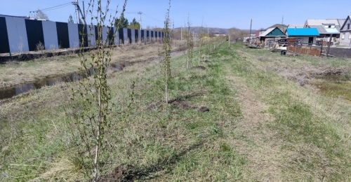 Между АО «КМЗ» и жилыми домами в Кувандыке появился хлипкий «зелёный щит»