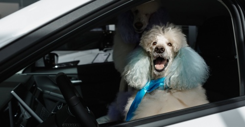 Новый JAECOO J6: Вдохновлен классикой, создан для будущего.