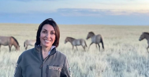 Роль Дениса Паслера и Татьяны Савиновой в программе попечительства над оренбургскими жеребятами лошадей Пржевальского сошла на нет