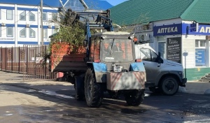 У штормового ветра в Бузулуке на счету 12 поваленных деревьев, 5 ЛЭП, 2 остановки