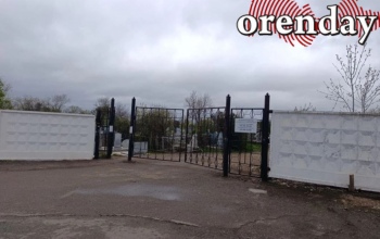На кладбище на Монтажников в Оренбурге спилят сухие деревья и проведут обработку от клещей