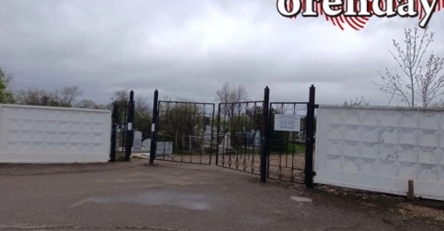 На кладбище на Монтажников в Оренбурге спилят сухие деревья и проведут обработку от клещей