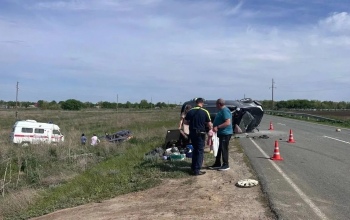 В Оренбуржье разыскивают свидетелей аварии у села Рождественка