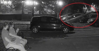 В Оренбурге во дворе дома дерево рухнуло на припаркованные автомобили