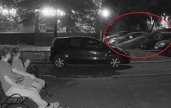 В Оренбурге во дворе дома дерево рухнуло на припаркованные автомобили