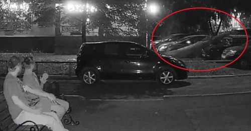 В Оренбурге во дворе дома дерево рухнуло на припаркованные автомобили