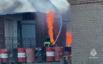 В Орске на площади 800 квадратных метров полыхает склад и мусор