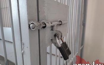 15-летнего подростка отправили в воспитательную колонию за удар ножом отчиму