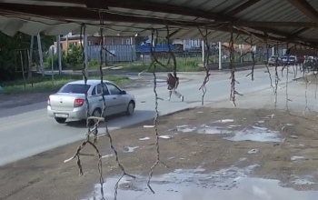 В Бугурусланском районе школьница побежала через дорогу и попала под колеса автомобиля (18+)