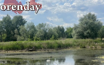 В Сакмарском районе в очередной раз после варварского спуска воды на Майорском водохранилище погибает флора и фауна