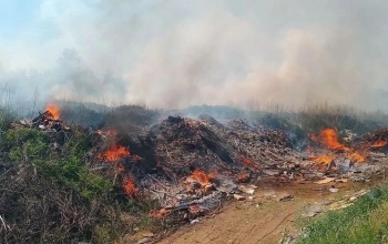 В Бузулукском районе на окраине поселка загорелся мусор