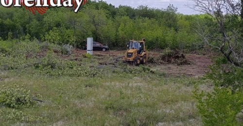 Беговой центр и ледовая арена в Оренбурге будут построены на территории лесопарка «Березка»