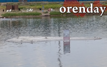 Туристка из Оренбургского района наказала рублем ООО «Соленые озера» за атаку куликов