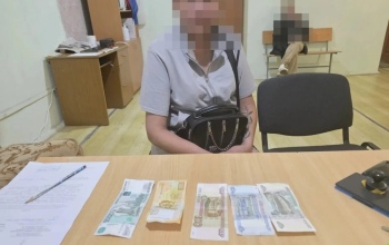 В Оренбуржье женщина дважды обчистила кассу магазина и напала на 76-летнего продавца