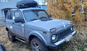 В Октябрьском районе за убитого оленя браконьер заплатит сотни тысяч рублей