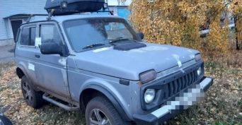 В Октябрьском районе за убитого оленя браконьер заплатит сотни тысяч рублей