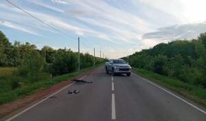 В Грачевском районе под колеса пикапа Mitsubishi L200 Sportero угодил 10-летний велосипедист
