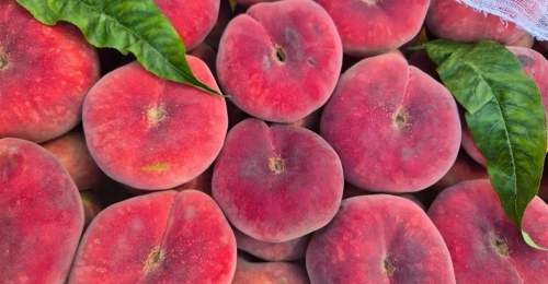 Оренбуржцы остались без персиков