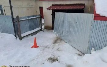 В Оренбуржье осудят водителя, автомобиль которого покатился и врезался в ворота соседа