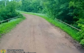 В Оренбуржье пьяный водитель без прав бросил погибающую пассажирку и сбежал с места ДТП