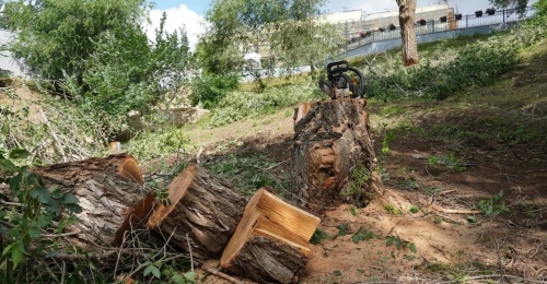 В Оренбурге Елизаветинский спуск расчистили к середине лета