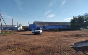 В Оренбуржье мужчина на коне попал в ДТП