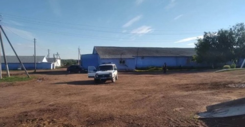 В Оренбуржье мужчина на коне попал в ДТП