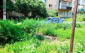Аллергики Новотроицка просят скосить траву