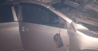 В Оренбуржье на трассе автомобиль Toyota Corolla сбил лошадь