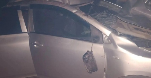 В Оренбуржье на трассе автомобиль Toyota Corolla сбил лошадь