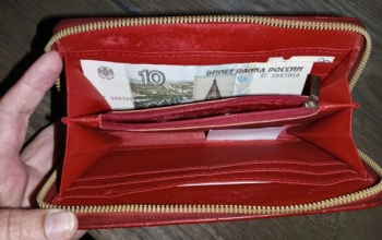 Жительница Оренбуржья поехала к возлюбленному в село, а он украл у нее деньги
