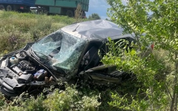 Два ребенка 2-х и 3-х лет пострадали в ДТП на трассе в Бузулукском районе
