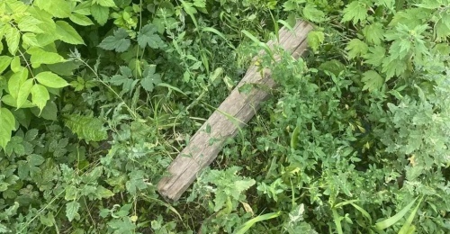 В Бугуруслане мужчина бревном огрел по голове знакомого