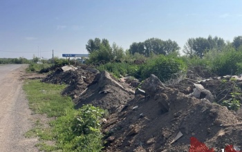 Гостей Саракташа при въезде в поселок встречают горы мусора, трава, крысы и мухи