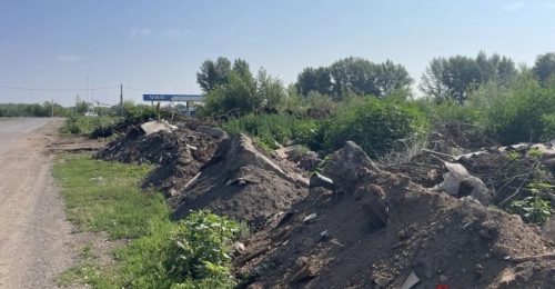 Гостей Саракташа при въезде в поселок встречают горы мусора, трава, крысы и мухи